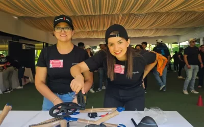 ¿Qué es la inteligencia organizacional y cómo se desarrolla?